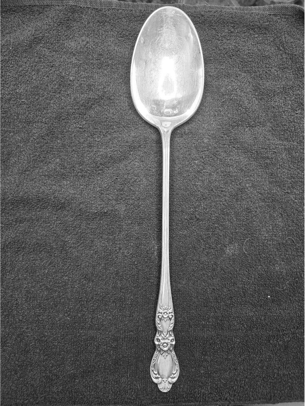 1847 Heritage Rogers Bros. Silver Plated Long Dressing Stuffing Spoon 12.75"